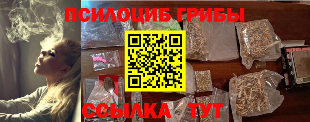 Псилоцибиновые грибы Psilocybine cubensis Вязники