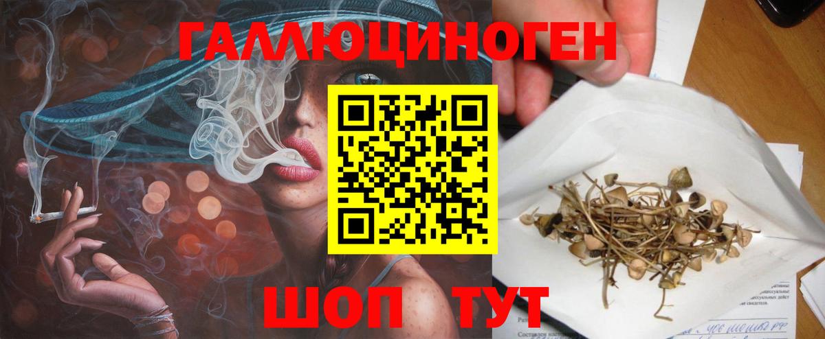 Вязники  Галлюциногенные грибы GOLDEN TEACHER  Вход с VPN 